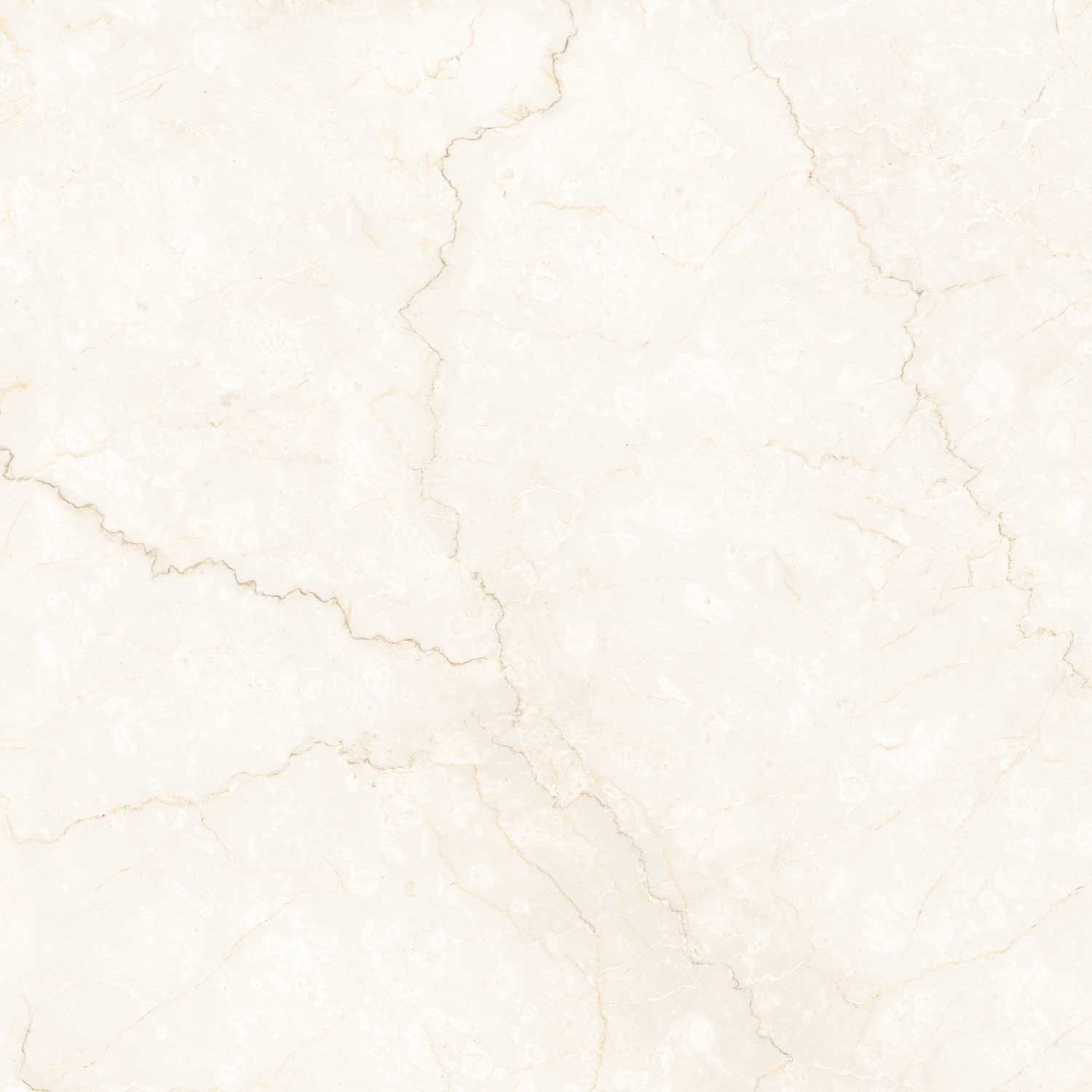 Kajaria The Ultima Botticino Classico Mirror Polish - Raw Slab